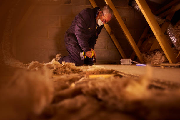 Best Insulation Installation Services in Lakeview, OH