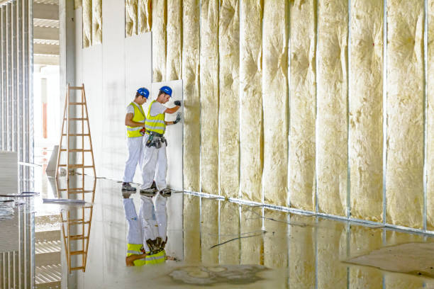 Best Commercial Insulation in Lakeview, OH